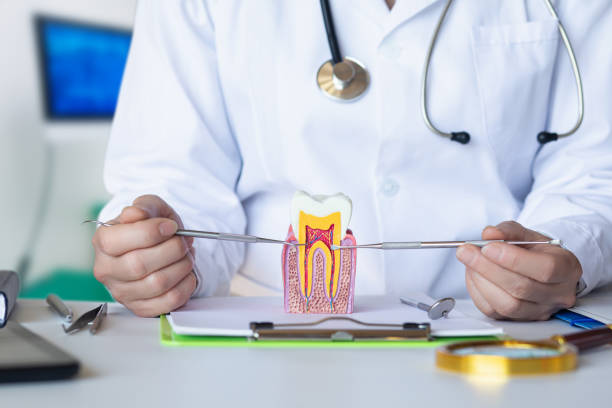 Best Emergency Care for Gum Disease in Kinston, NC
